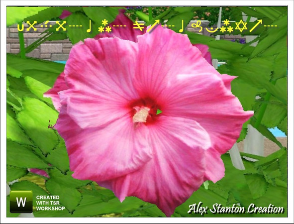 Sims 3 — Hibiscus moscheutos by alex_stanton1983 — The Hibiscus moscheutos offer big pink flowers all summer long.