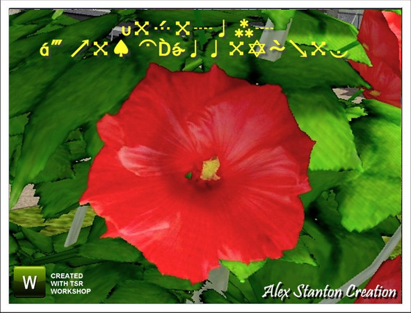 Sims 3 — Hibiscus Croix d'Occitanie by alex_stanton1983 — The Hibiscus Croix dOccitanie is a French hybrid with