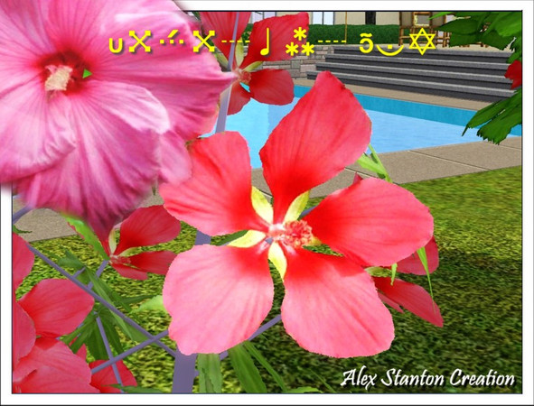 Sims 3 — Hibiscus Set by alex_stanton1983 — The hibiscus is a fantastic plant, the various varieties of which produce