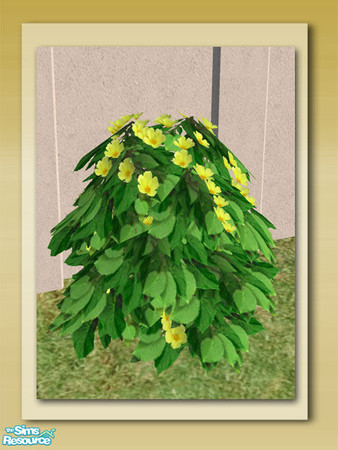 Sims 2 — Purslane Shrub - Mesh by Shakeshaft — Part of a New 10 Mesh Set including Round Stone Planters, Live Flowering