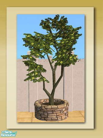 Sims 2 — Round Stone Magnolia Planter - Mesh by Shakeshaft — Part of a New 10 Mesh Set including Round Stone Planters,