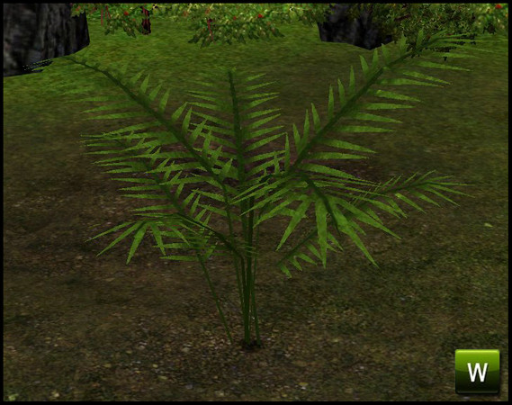 Sims 3 — Jungle Palm by sim_man123 — Jungle Palm, made by sim_man123 from TSR. TSRAA