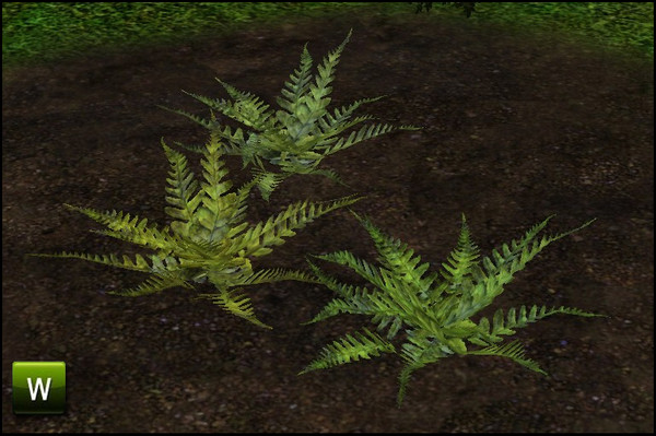 Sims 3 — Fern by sim_man123 — Fern, made by sim_man123 from TSR. TSRAA