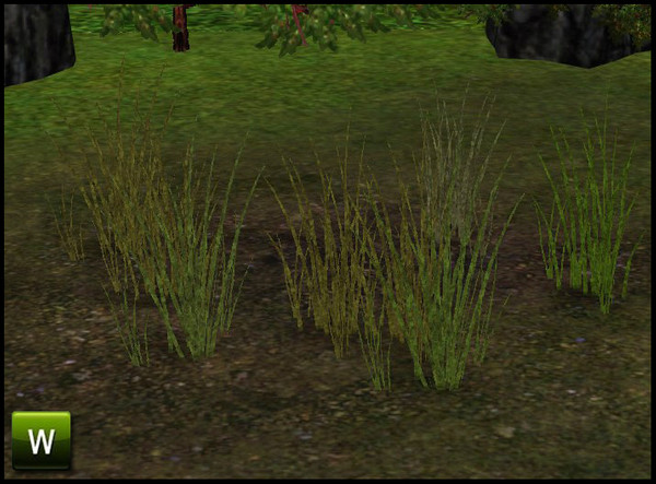 Sims 3 — Grass by sim_man123 — Grass, made by sim_man123 from TSR. TSRAA