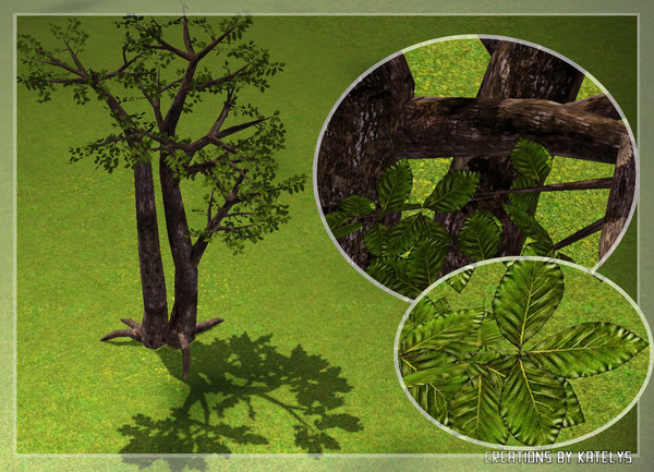 Sims 3 — Deer park - Beech tree **HIGH POLY** by katelys — A new tree. Includes low-ish poly version. Will not move in