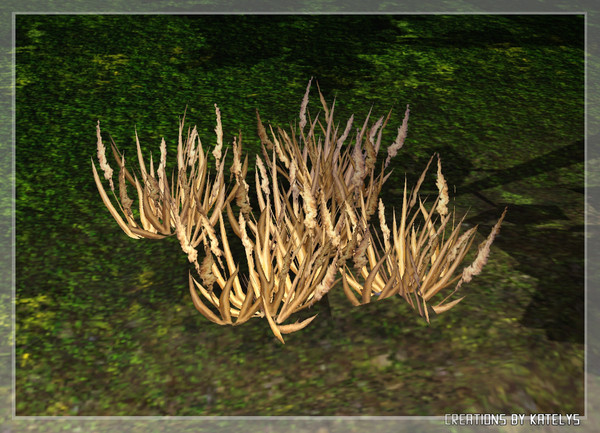 Sims 3 — Deer park - Grass plant 01 by katelys — Dry grass. Non-animated object.