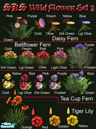 Sims 2 — Wild flowers set # 2 by 71robert13 — A set of 4 wild flowers: 1 real & 3 from my imagination that all have a