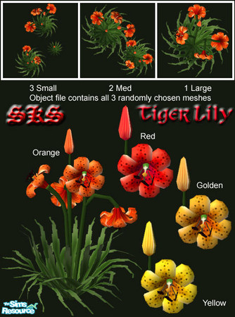 Sims 2 — Wild flowers set # 2 - Tiger Lily by 71robert13 — Found growing wild throughout the northeast along roadsides.