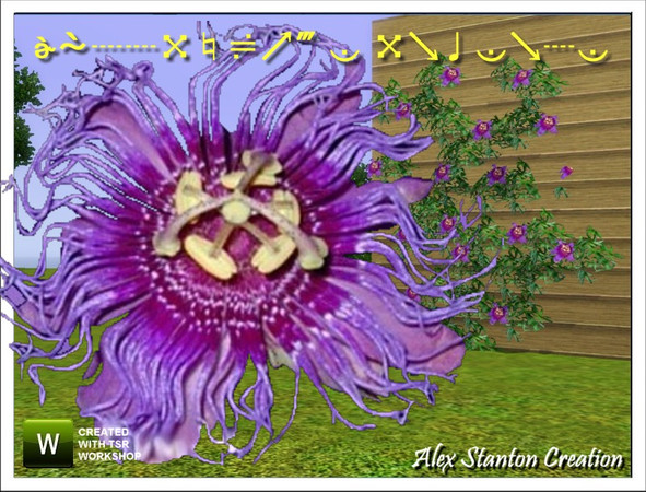 Sims 3 — Passiflore incense Big by alex_stanton1983 — Be allowed bewitch by the flowers of Passiflora incense. Plant it