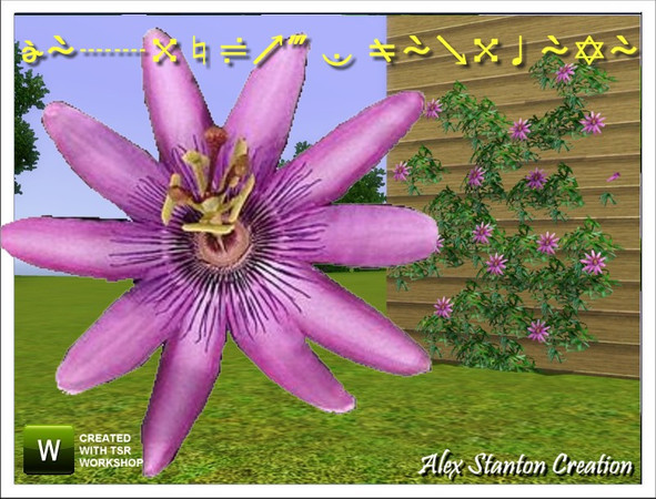 Sims 3 — Passiflore manicata Big by alex_stanton1983 — Passiflora is a creeper with extraordinary flowers. Plant it at