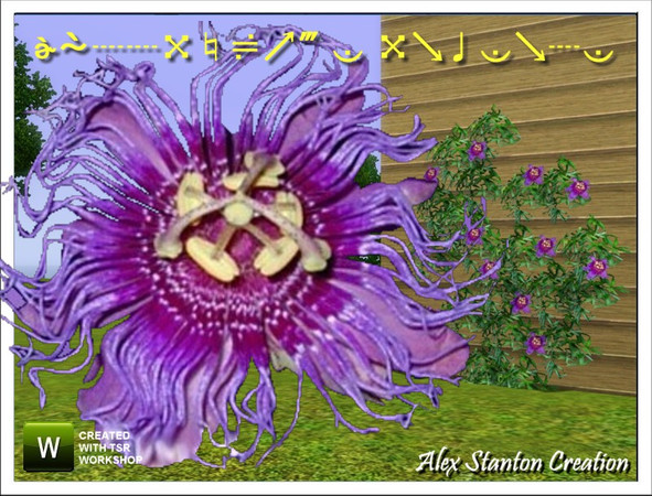 Sims 3 — Passiflore Incense by alex_stanton1983 — Be allowed bewitch by the flowers of Passiflora incense. Plant it at