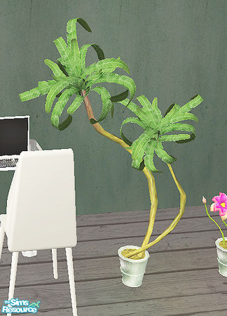 Sims 2 — Workingspace - plant by steffor — 