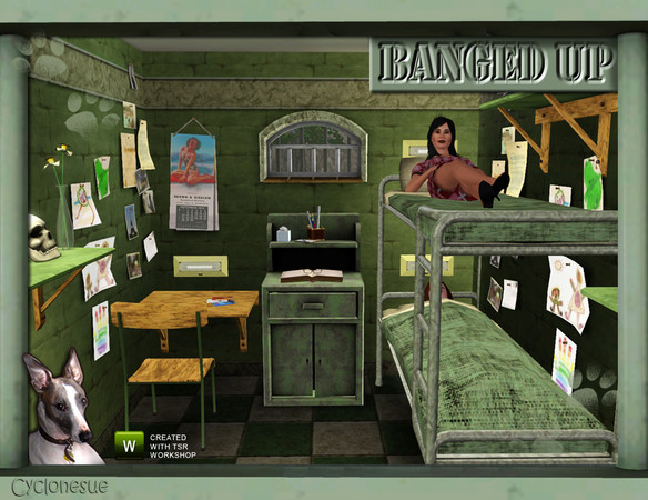 Sims 3 — Banged Up!  Prison Cell Furniture by Cyclonesue — A collection of furniture for prison cells and other