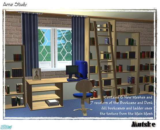 Sims 2 — Arno Study by Mutske — Contains 6 New Meshes and 7 recolors of the Bookcase and Desk. All bookcases and ladder