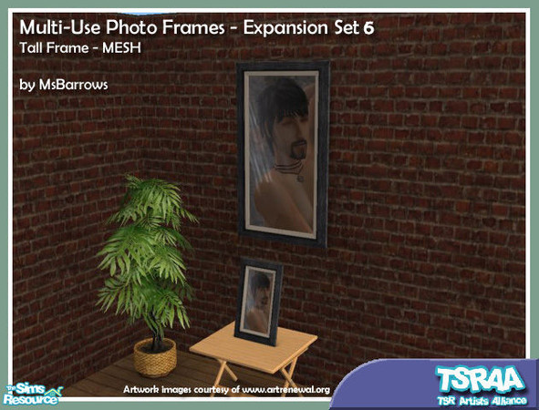 Sims 2 — MU Photo Frames Expansion 6 - Tall (MASTER MESH) by MsBarrows — Several times now I\'ve found lovely images,