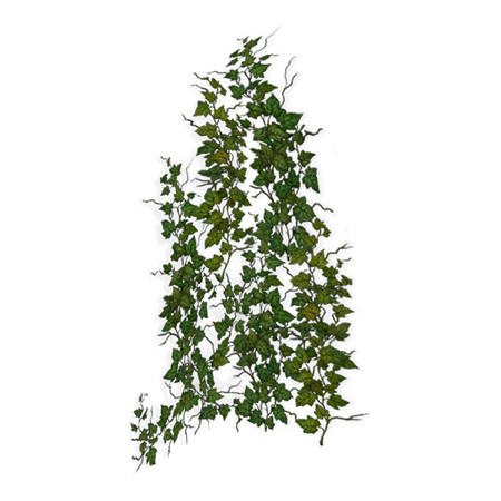 Sims 3 — Enchanted Ivy 08 by Murano — Decorate the houses of your Sims with this ivy be it either straigt walls or