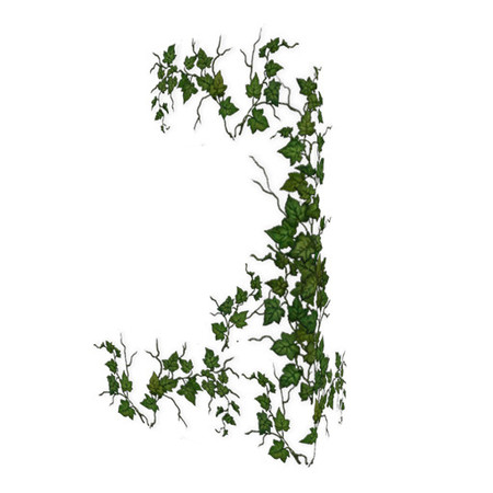 Sims 3 — Enchanted Ivy 04 by Murano — Decorate the houses of your Sims with this ivy be it either straigt walls or