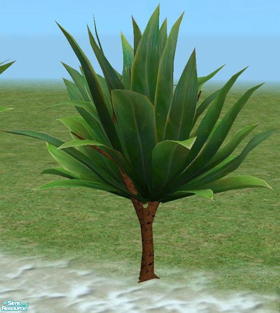 Sims 2 — Exotic Trees 2 - Small by TheNinthWave — Exotic Tree 2 Small.