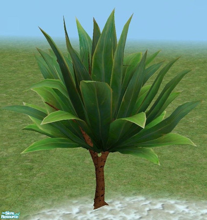 Sims 2 — Exotic Trees 2 - Large by TheNinthWave — Exotic Tree 2 Large.