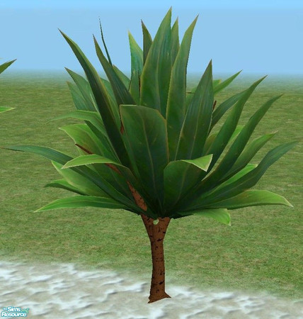 Sims 2 — Exotic Trees 2 - Medium by TheNinthWave — Exotic Tree 2 Medium.