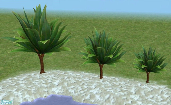 Sims 2 — Exotic Trees 2 by TheNinthWave — Exotic trees in 3 sizes, Small, Medium, and Large. For the first Exotic trees