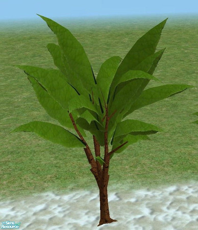 Sims 2 — Exotic Trees 3 - Medium by TheNinthWave — Exotic Tree 3 Medium.