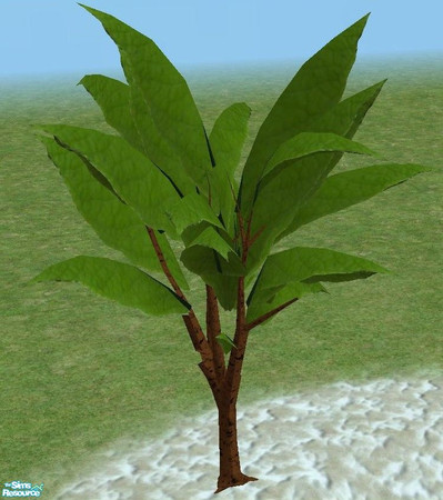 Sims 2 — Exotic Trees 3 - Large by TheNinthWave — Exotic Tree 3 Large.
