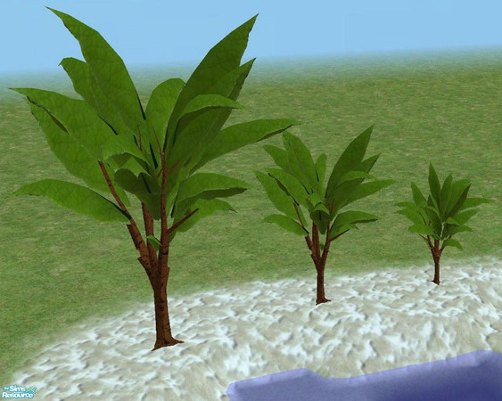Sims 2 — Exotic Trees 3 by TheNinthWave — More exotic trees for you to enjoy. For the other exotic trees, see the
