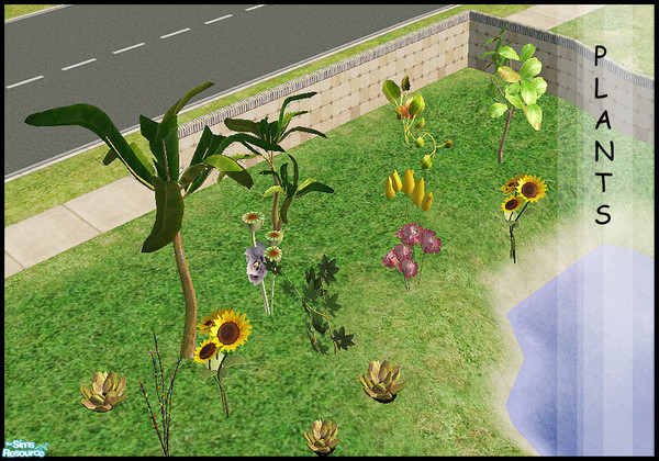 Sims 2 — Plants by steffor — a few plants for the garden