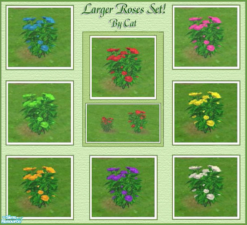 Sims 2 — Larger Roses Set by cat3cm — A much larger version with more flowers of my original roses.
