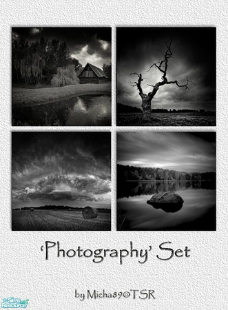 Sims 2 — \'Photography\'-set by micha89 — set of 4 black and white pictures-recolor of \'B Stroke\' so Nightlife EP is