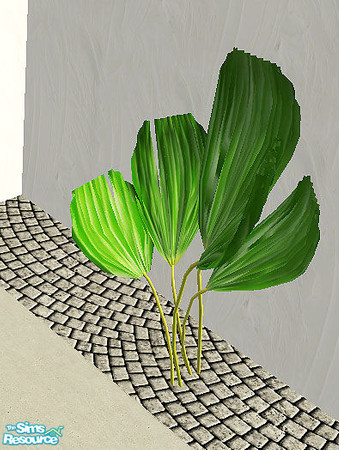Sims 2 — Finally - plant by steffor — 