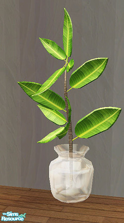 Sims 2 — skunkfunk - plant by steffor — 