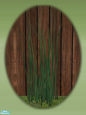 Sims 2 — Garden Shed Grass - Mesh by Shakeshaft — Part of a new mesh set to create a Garden Potting Shed for your Sims,