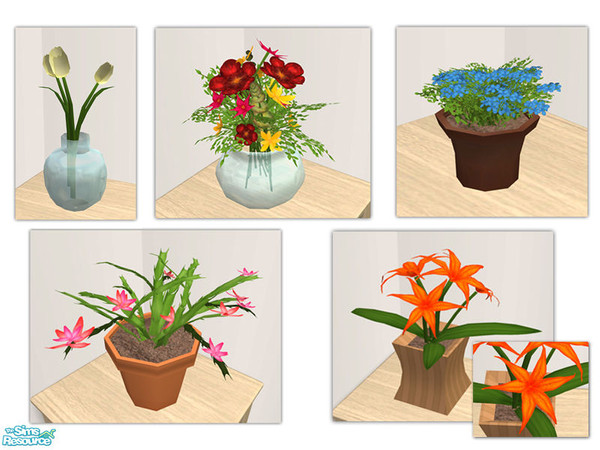 Sims 2 — Decorative Plants by sim_man123 — New plant mesh, contains 5 items. Tulips, Blue Periwinkle, Mixed Vase, Tiger