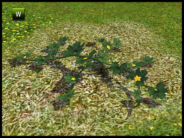 Sims 3 — Pumpkinless Pumpkin Vine by sim_man123 — Pumpkinless Pumpkin Vine, made by sim_man123 from TSR. TSRAA.