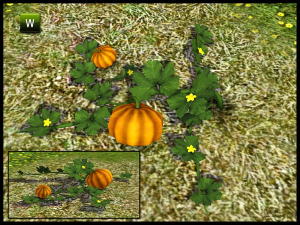 Sims 3 — Pumpkin Vine by sim_man123 — Pumpkin Vine, made by sim_man123 from TSR. TSRAA.
