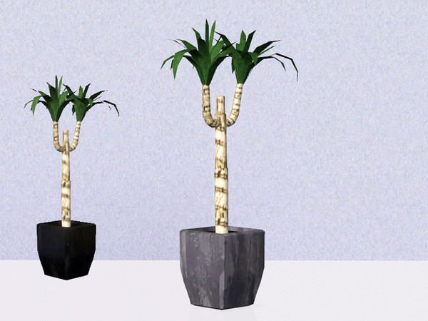 Sims 3 — Turin Plant by IrishStar — Turin Plant by IrishStar @TSR 2012