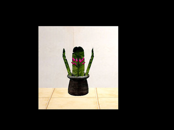 Sims 2 — Tahi - plant by steffor — 