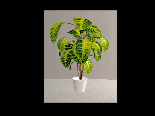 Sims 2 — Baxter - plant by steffor — 