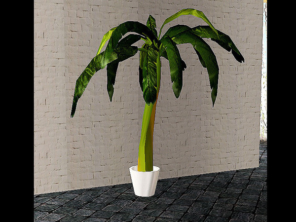 Sims 2 — Suess - plant by steffor — 
