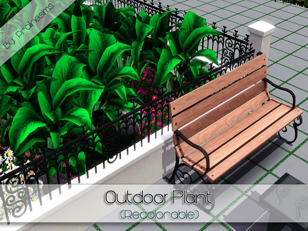 Sims 3 — Outdoor Plant  by Pralinesims — By Pralinesims