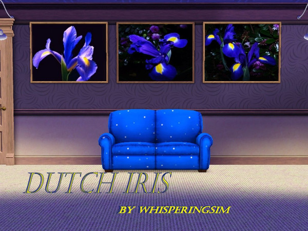 Sims 3 — Dutch Iris by whisperingsim — Dutch Iris is a set of three paintings made using my own orignal, copyright
