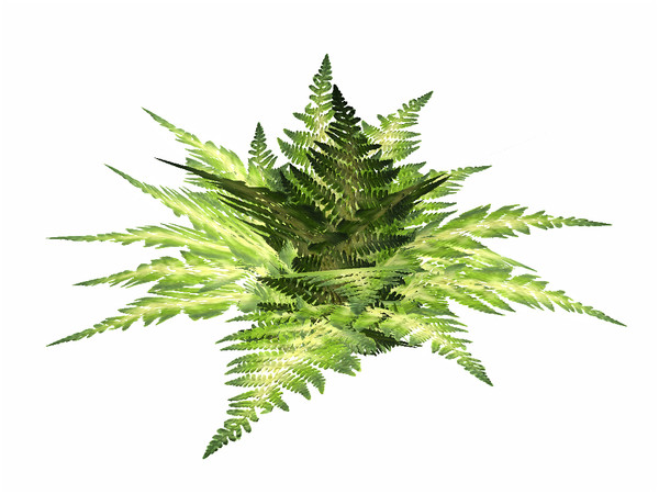 Sims 3 — Alpine Lady Fern by sim_man123 — Alpine Lady Fern, made by sim_man123 from TSR. TSRAA.