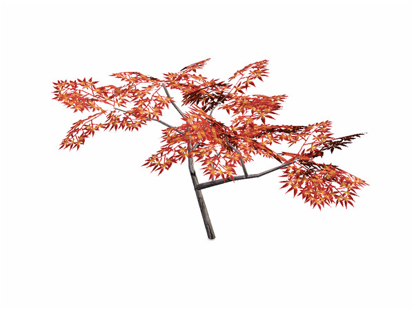 Sims 3 — Japanese Maple Tree by sim_man123 — Japanese Maple Tree, made by sim_man123 from TSR. TSRAA.