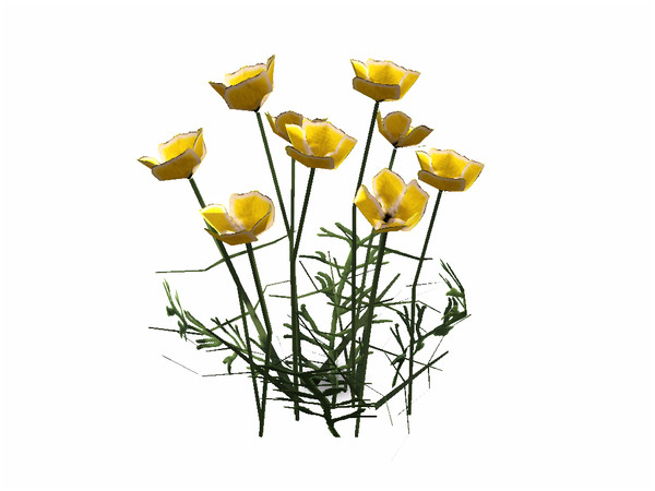 Sims 3 — Poppies by sim_man123 — Poppies, made by sim_man123 from TSR. TSRAA.