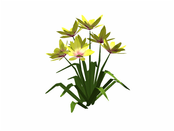 Sims 3 — Rain Lily by sim_man123 — Rain Lily, made by sim_man123 from TSR. TSRAA.
