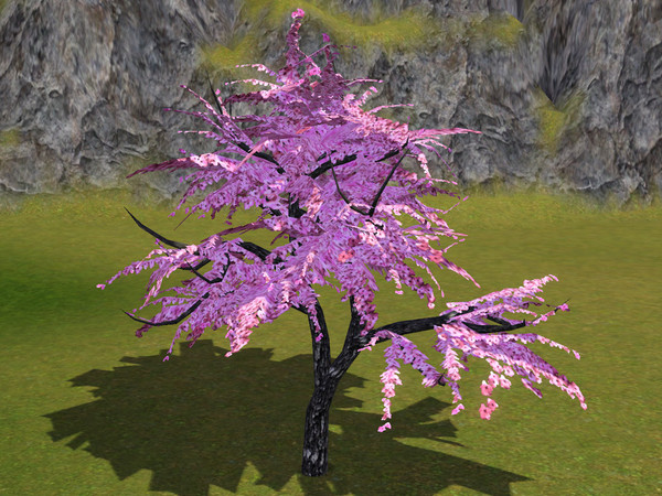 Sims 3 — Cherry Tree by sim_man123 — Cherry Tree, made by sim_man123 from TSR. TSRAA. Made by request for Chubbelina and