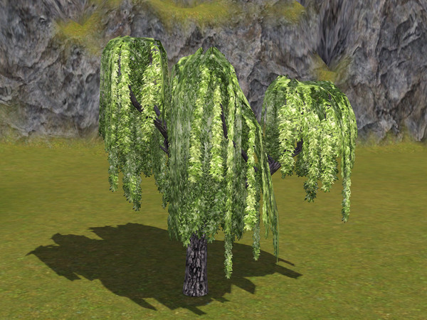 Sims 3 — Willow Tree by sim_man123 — Willow Tree, made by sim_man123 from TSR. TSRAA. Made by request for Chubbelina and