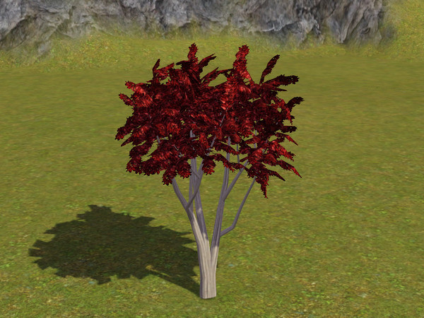 Sims 3 — Japanese Maple Tree by sim_man123 — Japanese Maple Tree, made by sim_man123 from TSR. TSRAA. Made by request for